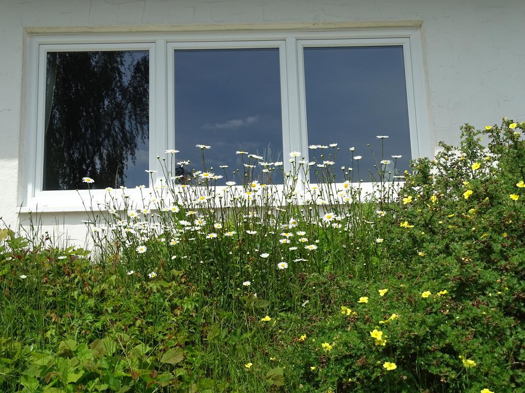 Landhaus Waldrand Biersdorf am See Exterior foto